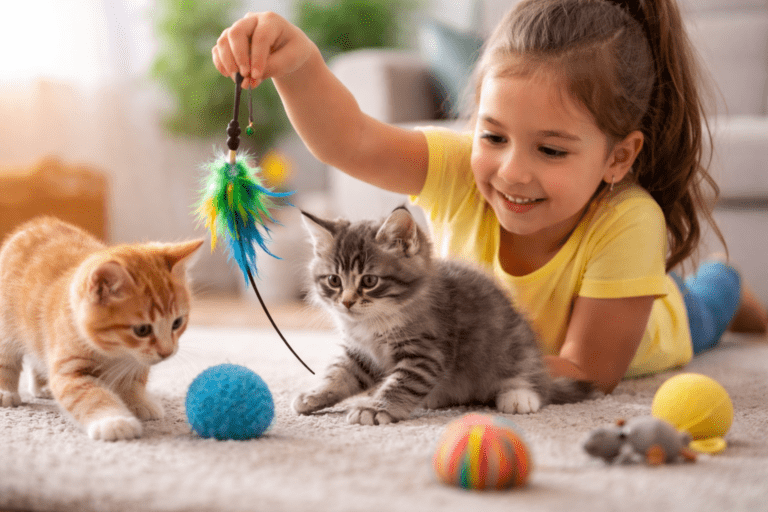 young girl plays with her new kittens.
