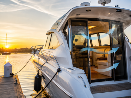 luxury yaht on the chesapeek with a mildew problem